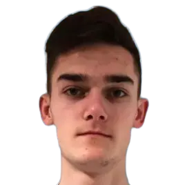 luka busic