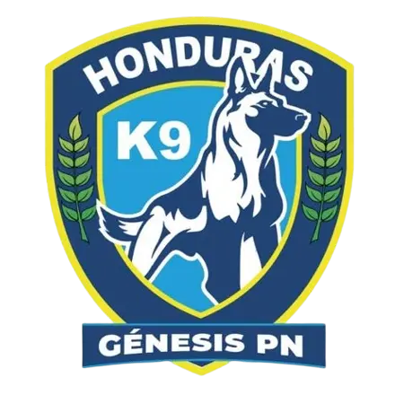 Genesis de Comayagua